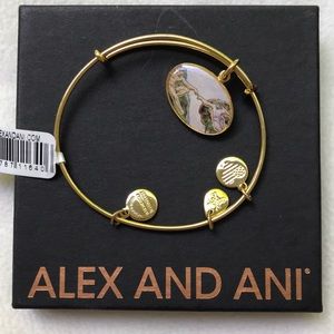 Alex and Ani bracelet
